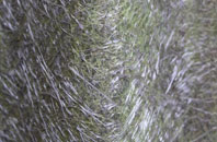 Church Laneham fibreglass roof work